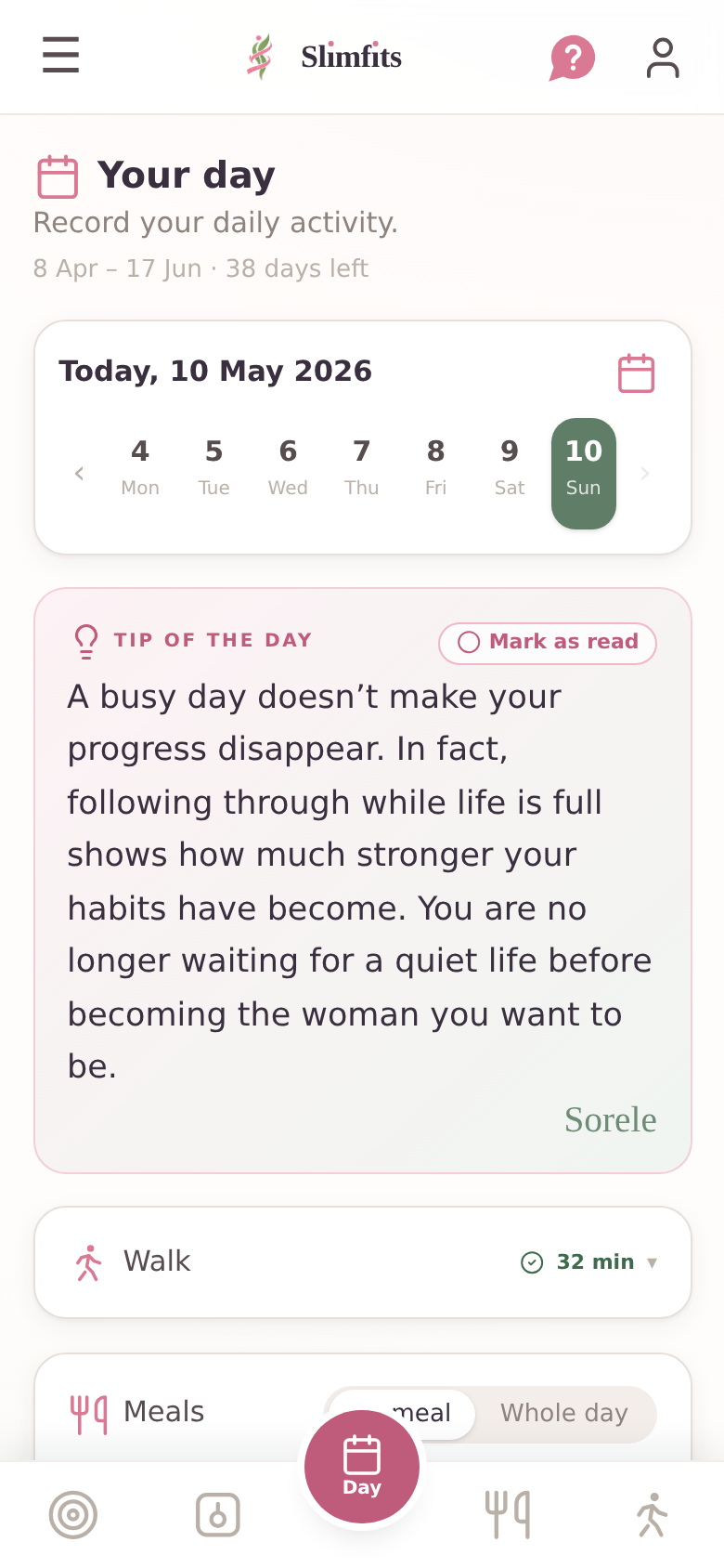 The Day view in the Slimfits Companion